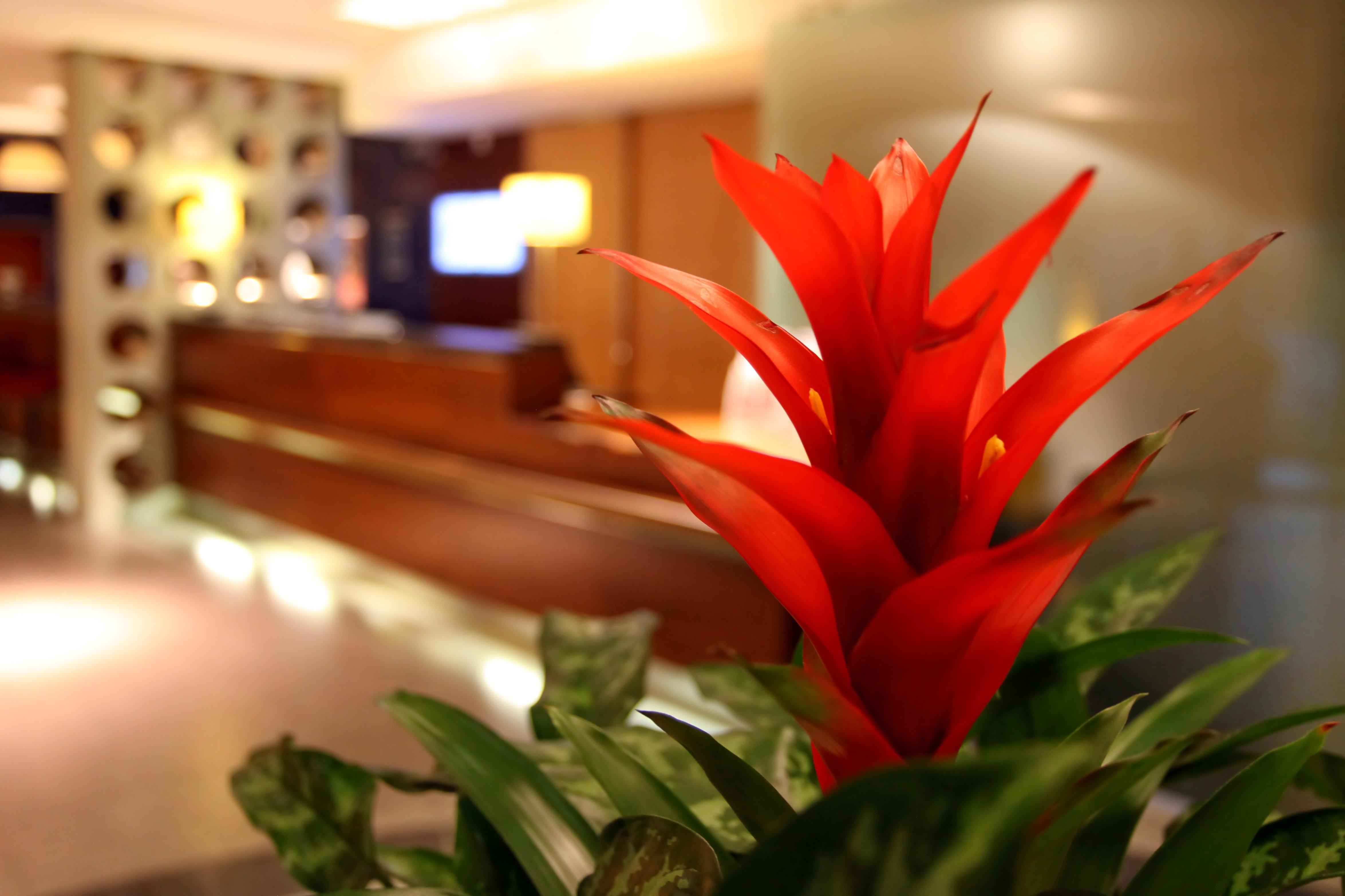 Express Southampton - M27, J7 By Ihg Hedge End